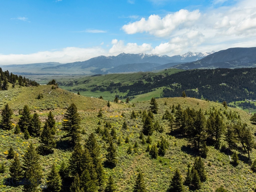 Lot 9 Sunflower Lane, Livingston