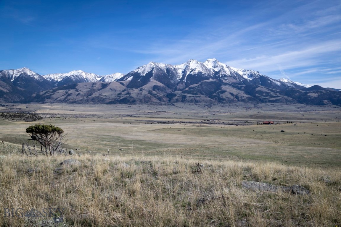 TBD Leo Drive, Emigrant