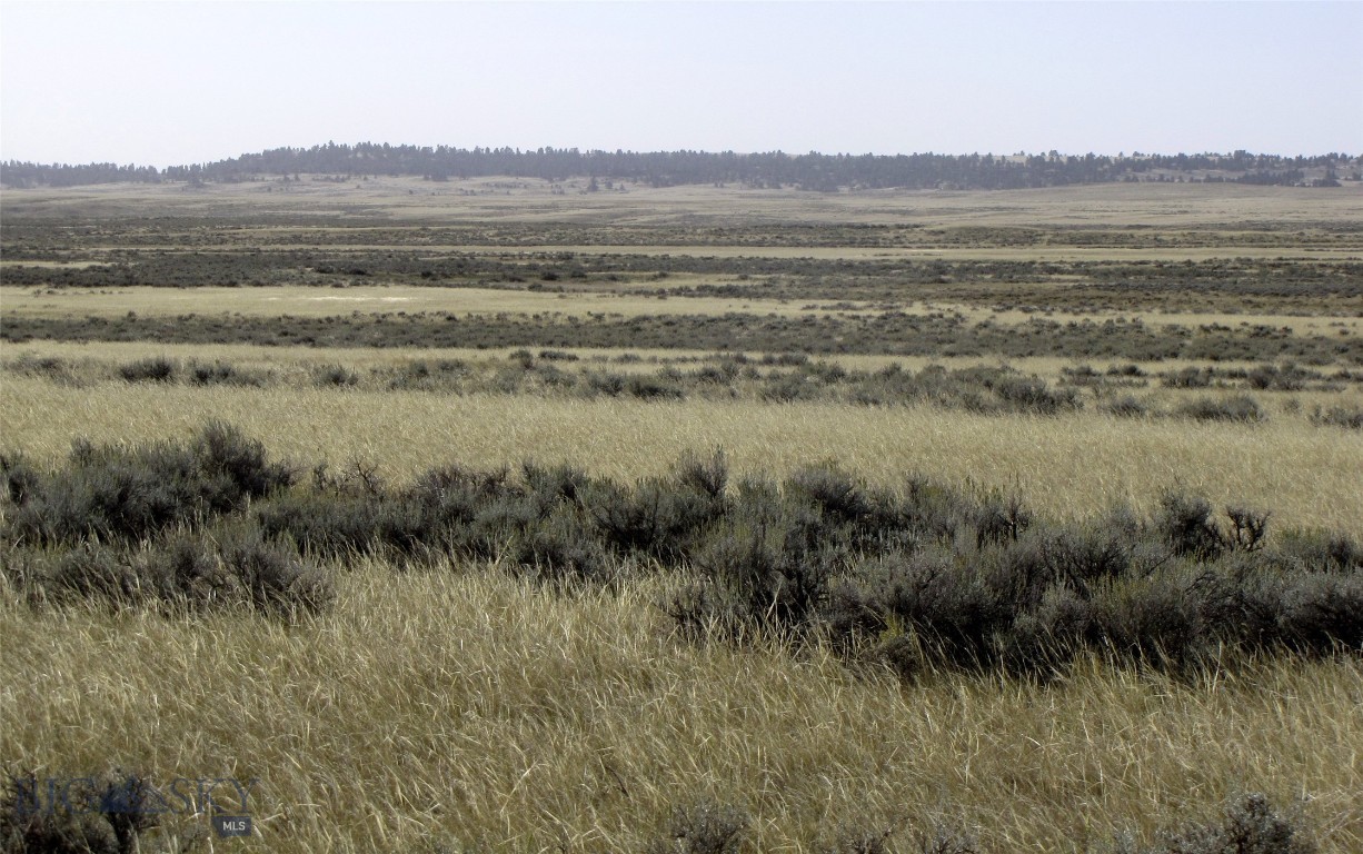 tbd Lindstrom Road, Shepherd