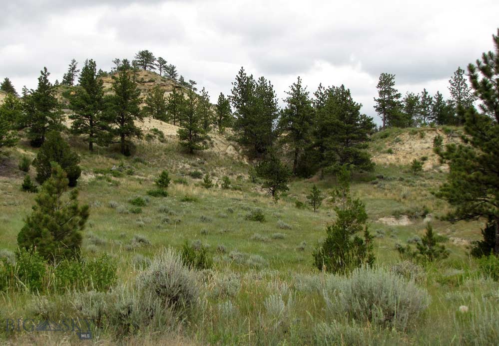 3808 Moon Creek Road, Miles City