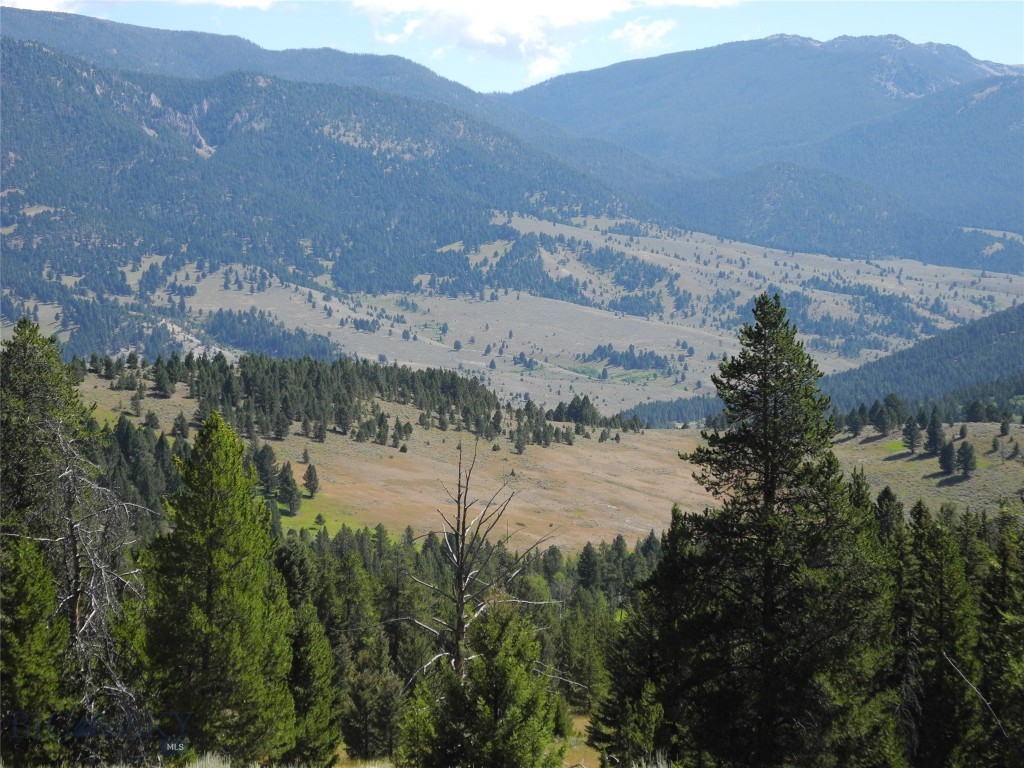 TBD Appaloosa Trail, Gallatin Gateway