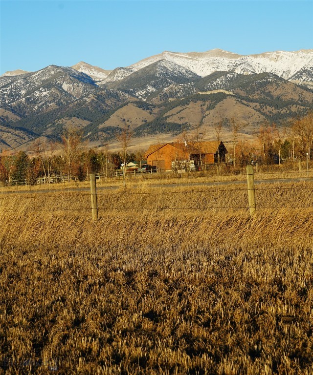 TBD Springhill, Belgrade