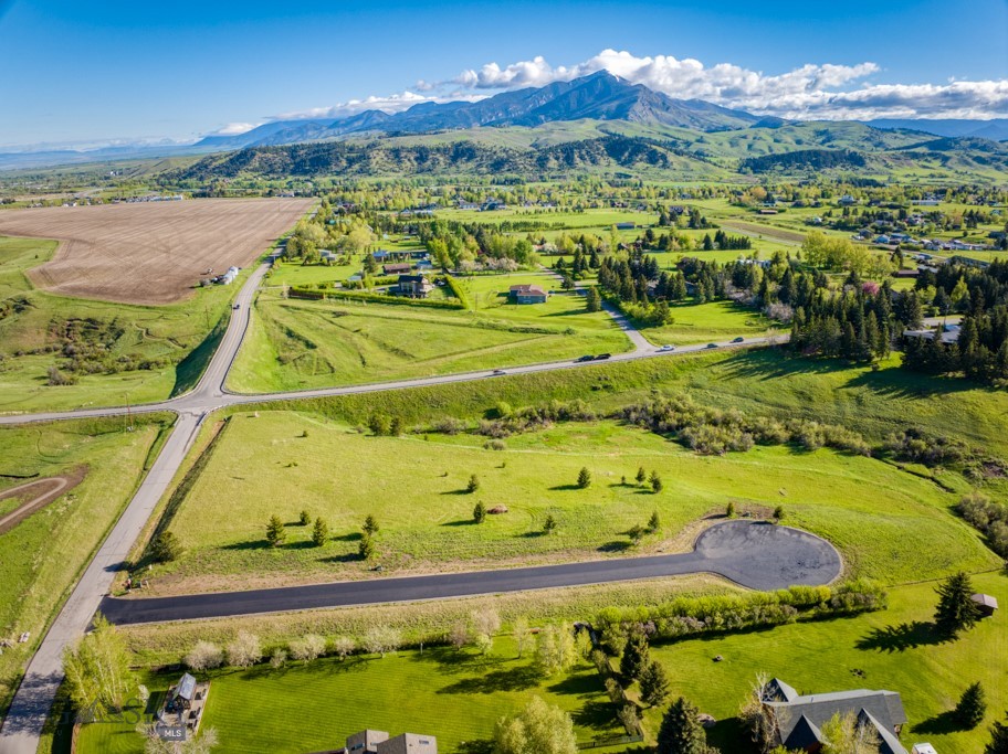 145 Blossom Way, Bozeman