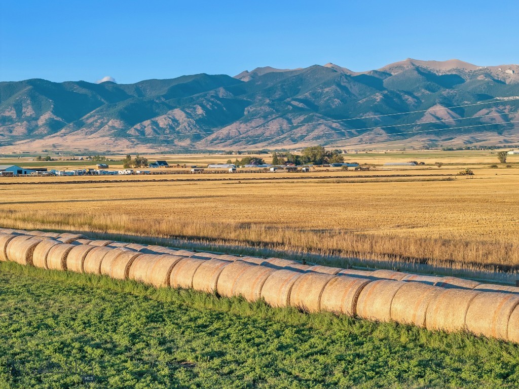 TBD Spain Bridge Road, Belgrade