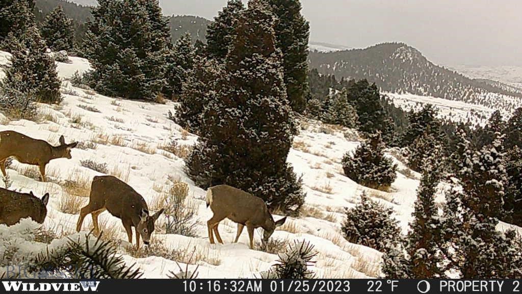 Lot 74 Pony Express Trail, Ramsay