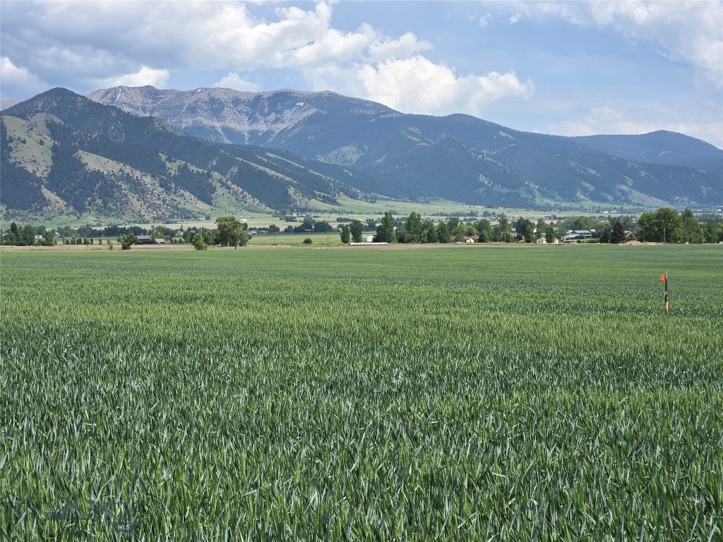 Lot 3 Penwell Bridge Road, Belgrade