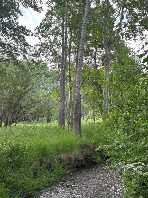 TBD Spring Creek Drive, Bozeman