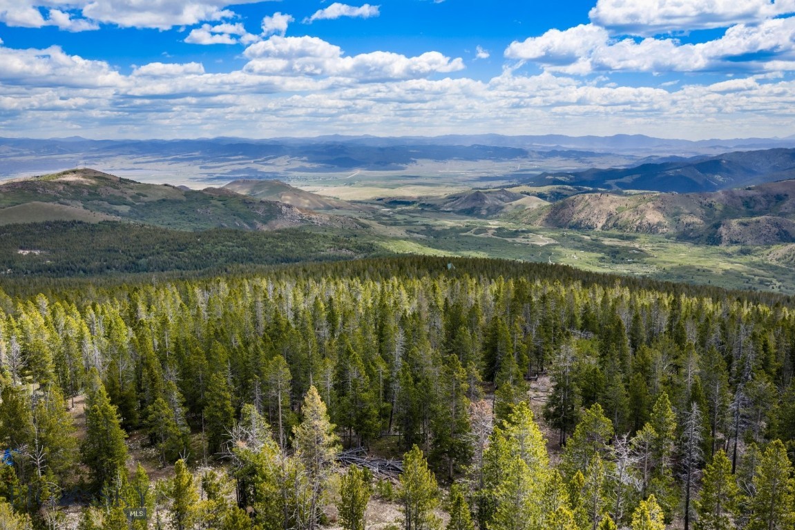 NHN Rosa Trail, Anaconda
