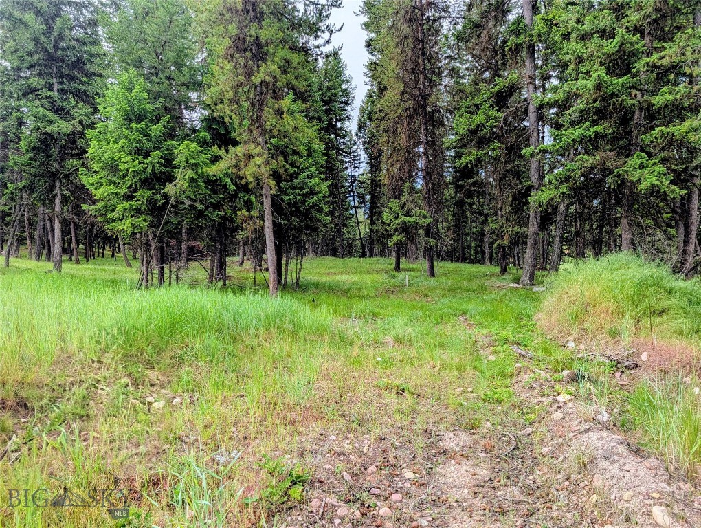 304 Seclusion, Seeley Lake