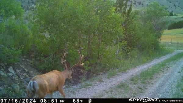 1131 Outlaw Trail, Anaconda