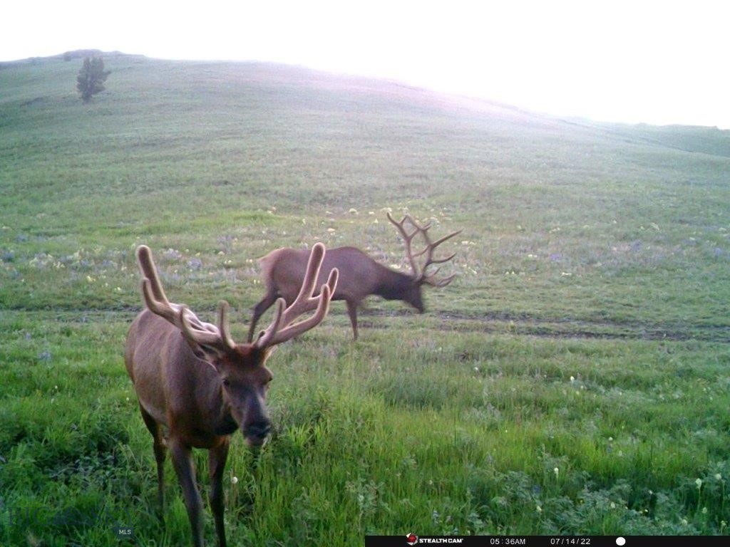 TBD Indian Creek Road, Townsend