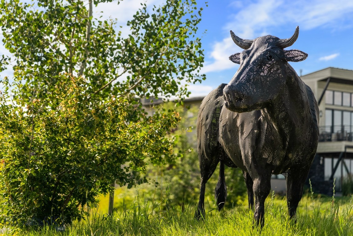 TBD Tillyfour, Bozeman