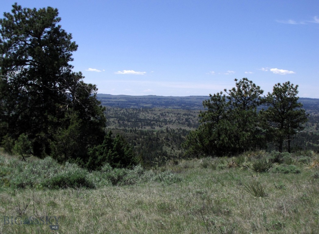 NHN Lone Rock Canyon Lane, Hysham
