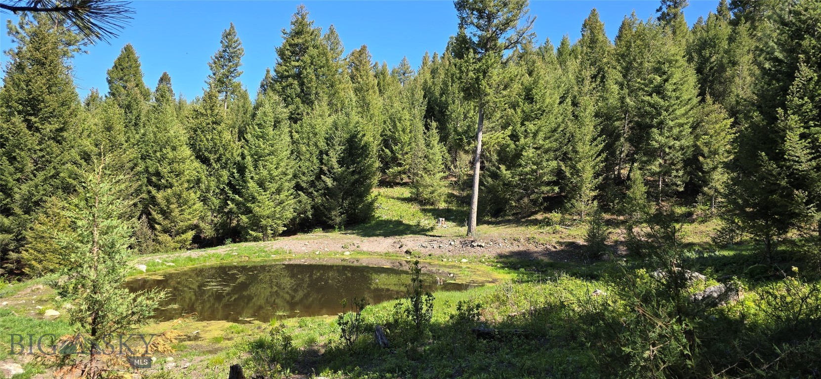 4 Tract, Bull Elk, Drummond