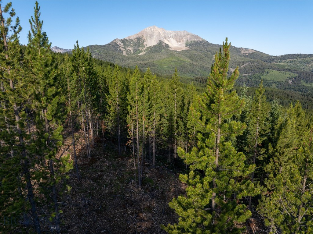 TBD Sawtooth Road Lot #12, Big Sky