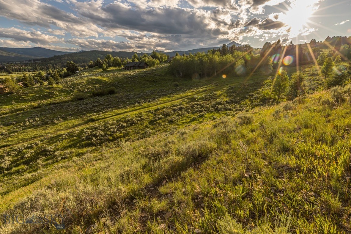 TBD Little Coyote, Big Sky