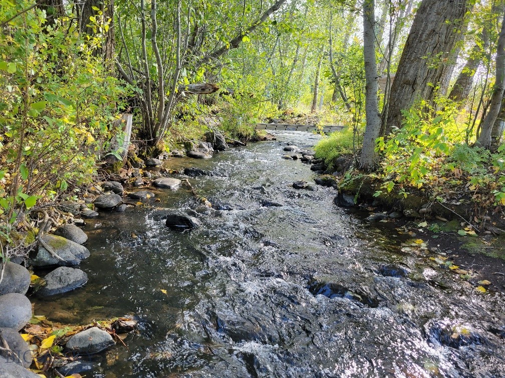 Lot 2 Hyalite Canyon Road, Bozeman