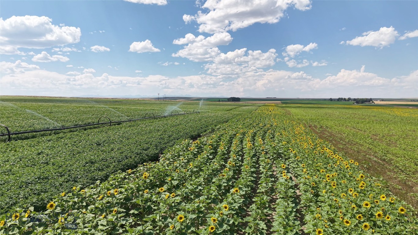 Tract 5 (81 Acres) Churchill Road, Churchill