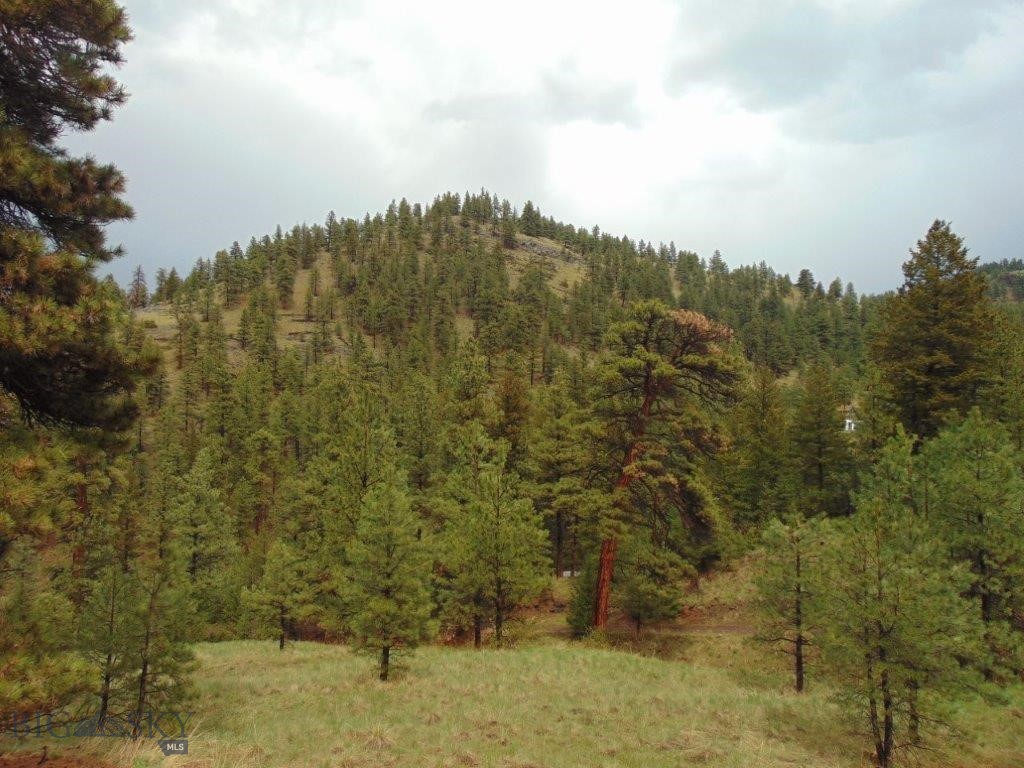 15 Shady Spring, Cascade