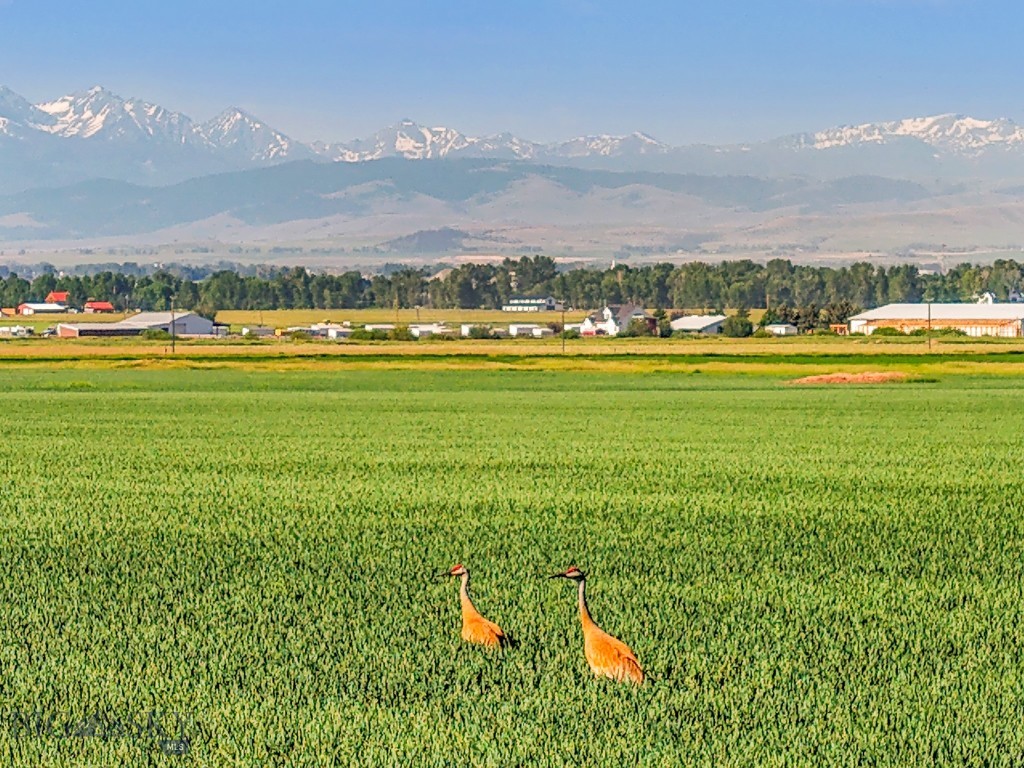 TBD Penwell Bridge Road, Belgrade