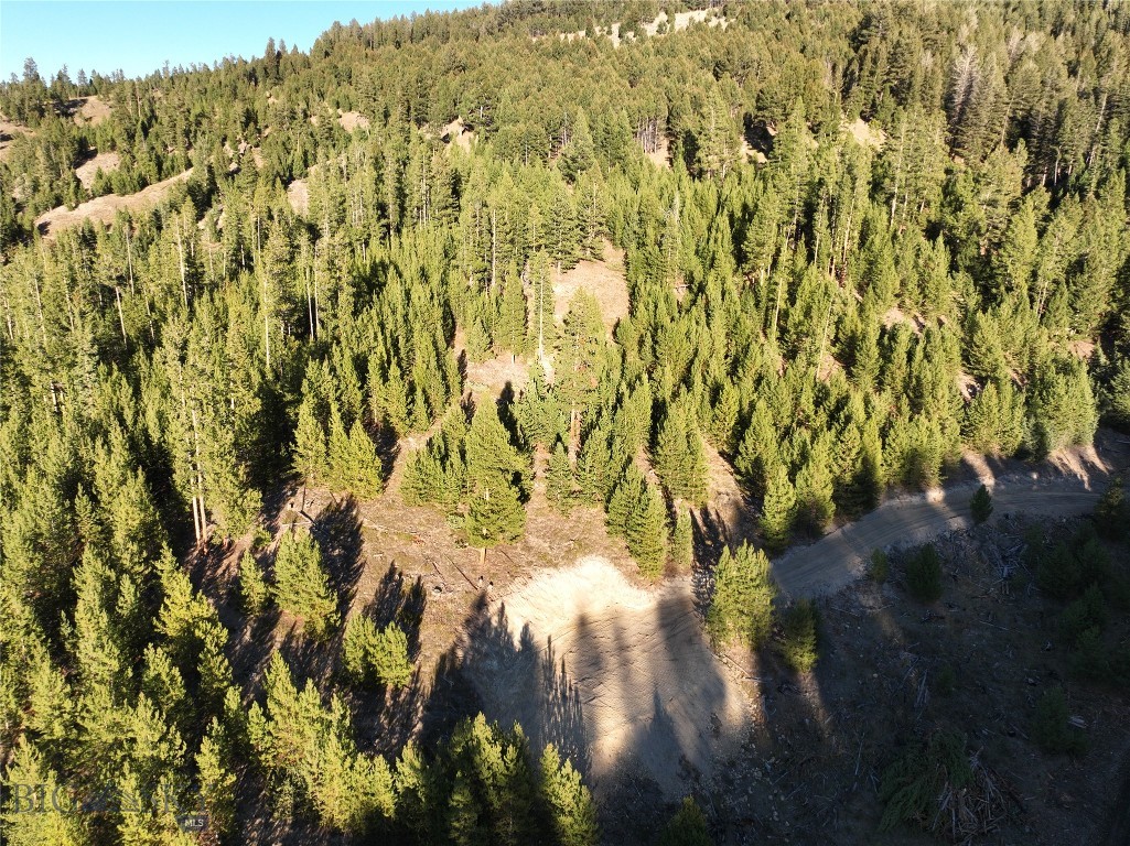 Lot 5 Ruby Mine Road, Butte