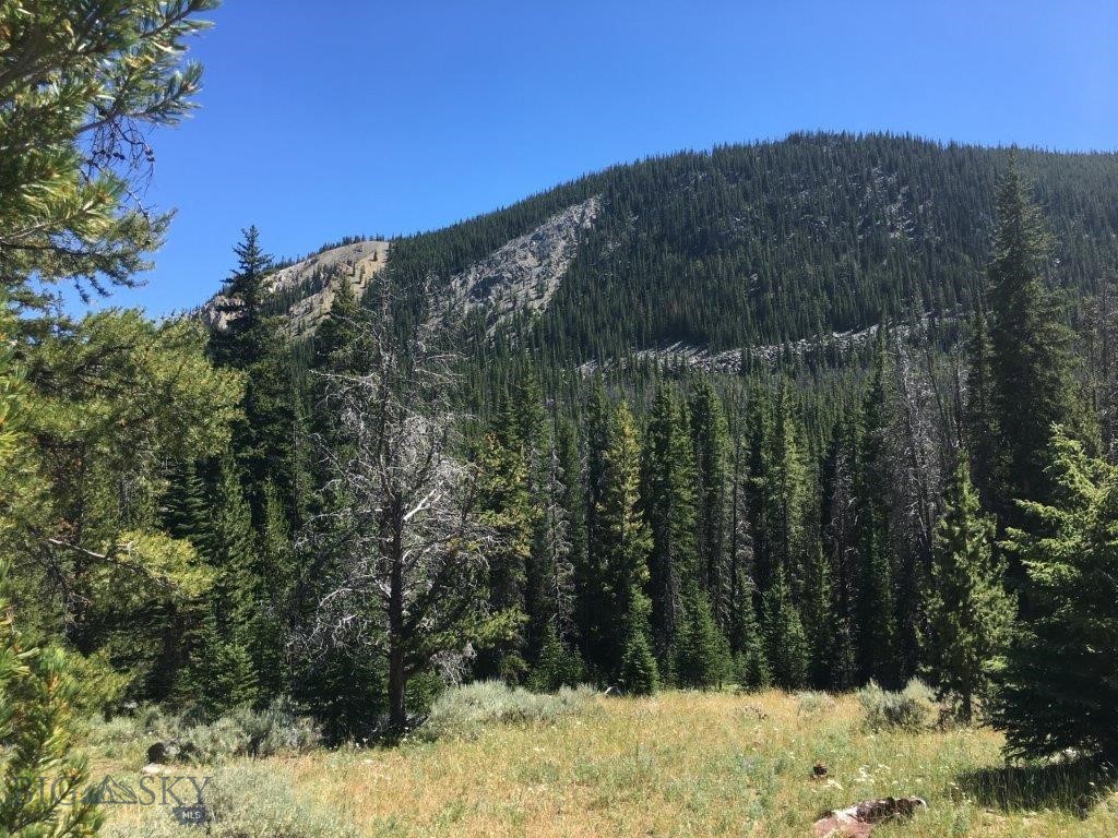 216 Trapper Creek Road, Dillon