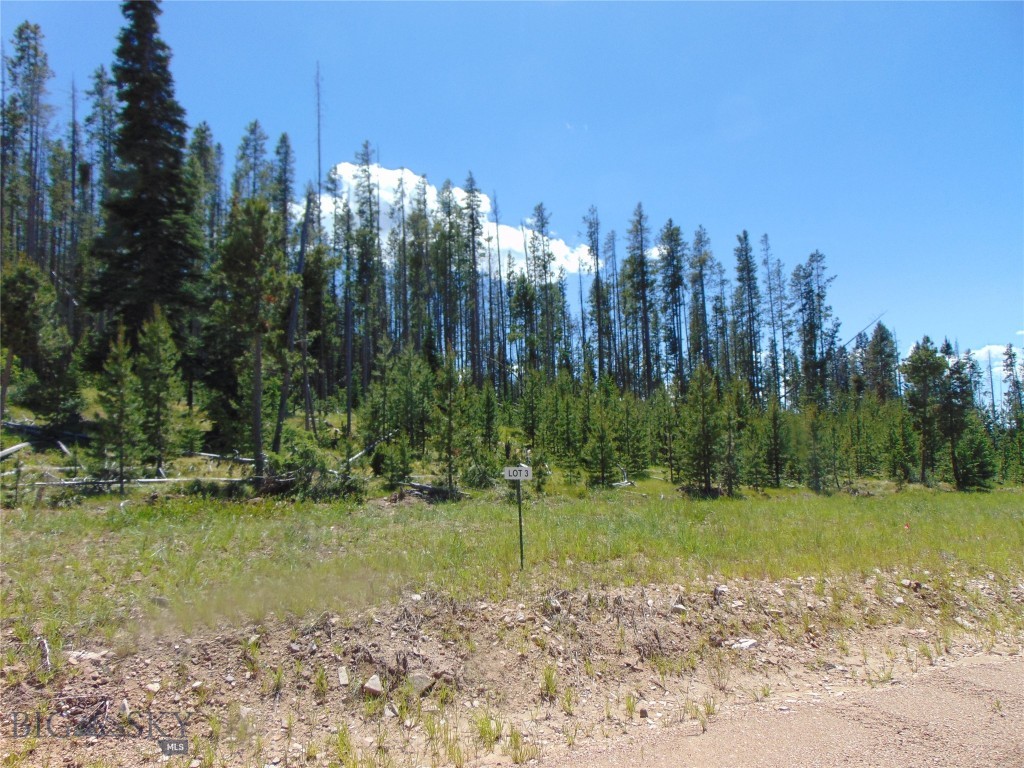 Nhn Silvantite Lane Lot 3, Anaconda