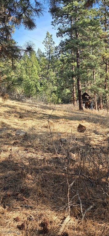 211 WARM SPRINGS CREEK RD, Clancy