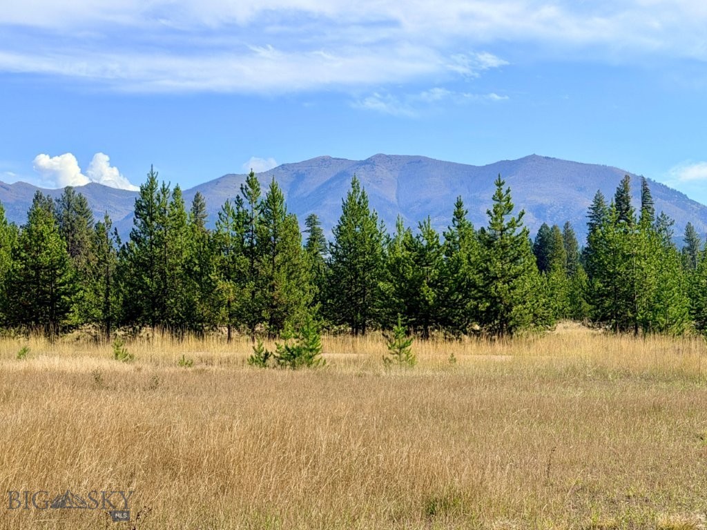 422 Daisy Lane, Seeley Lake