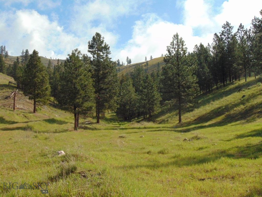 27235 LAZY SPRINGS RD, Clinton