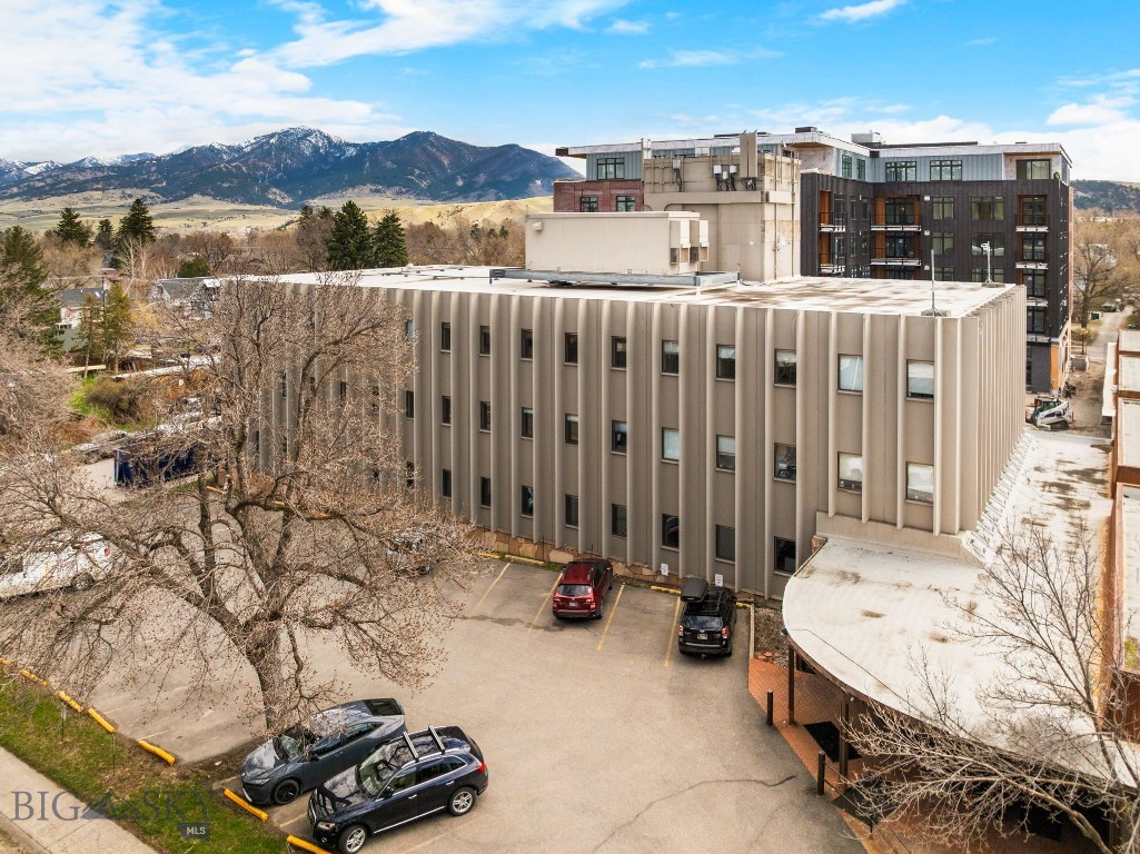 300 N Wilson, Bozeman