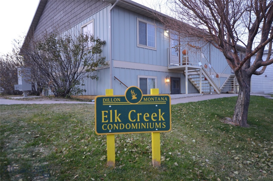 43 Tobacco Root, Dillon