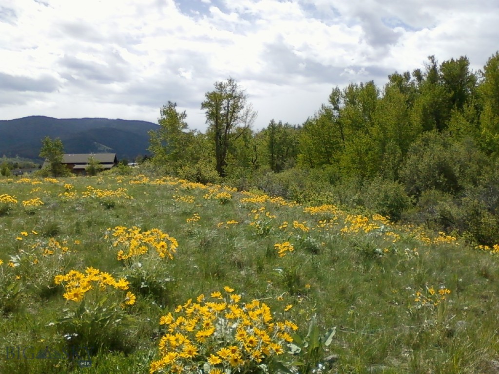 779 Cayuse Trail, Bozeman