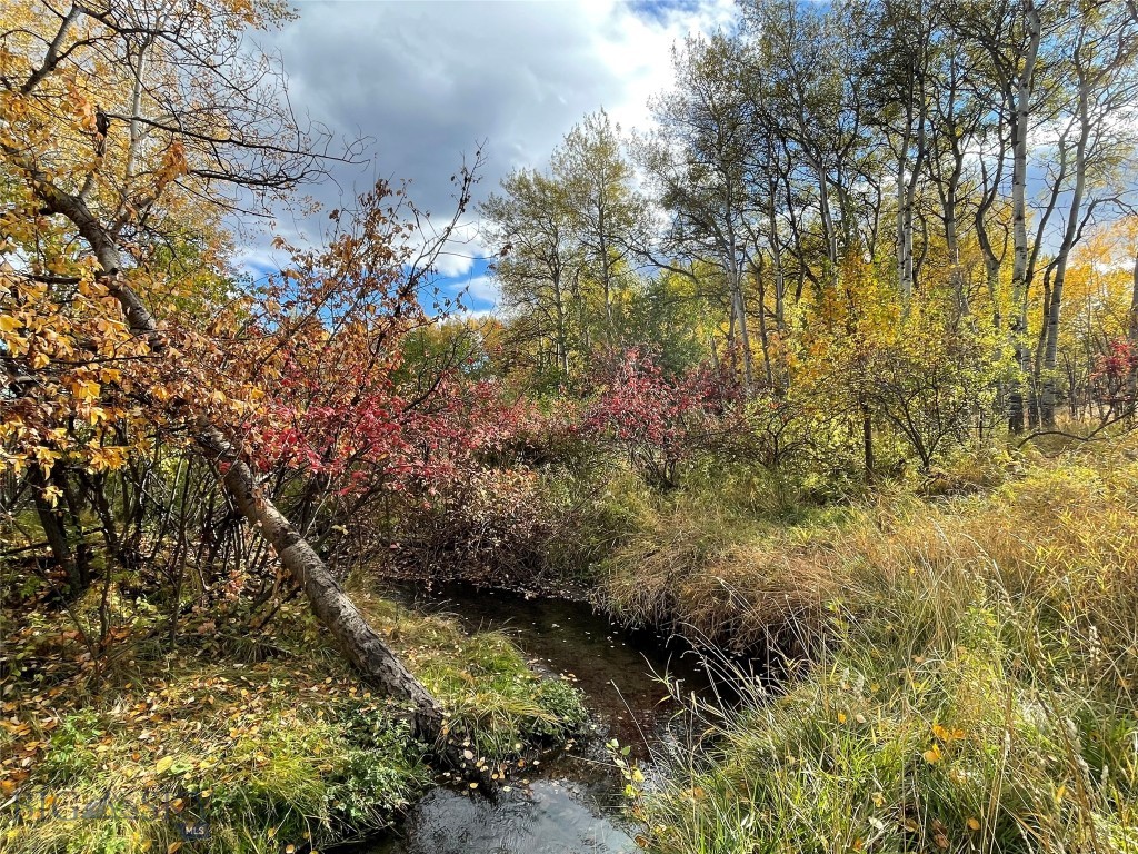 1918 Spring Creek Drive, Bozeman
