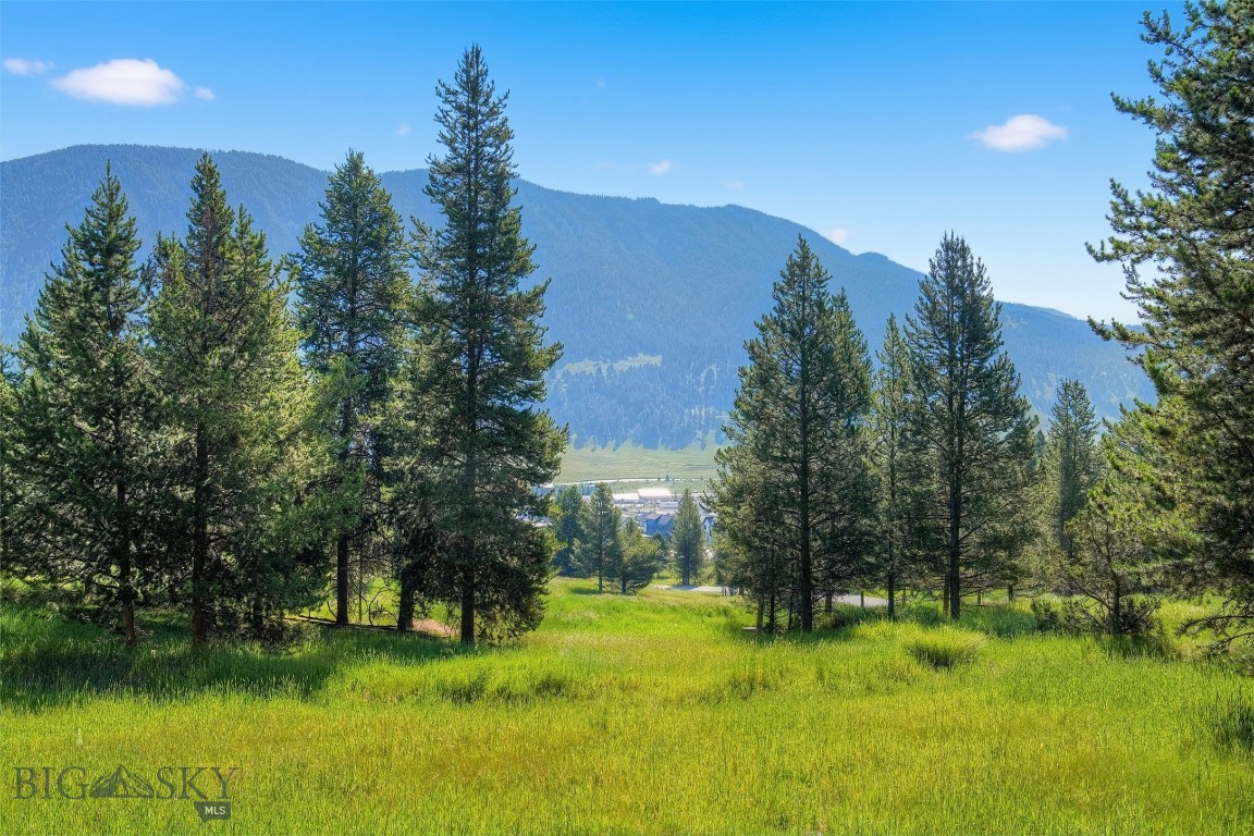 TBD Colters Run 13, Big Sky