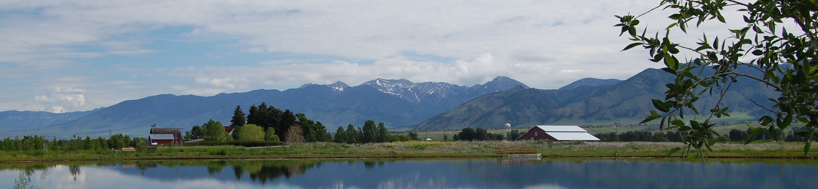 Photo Montana Homestead Declaration Photo