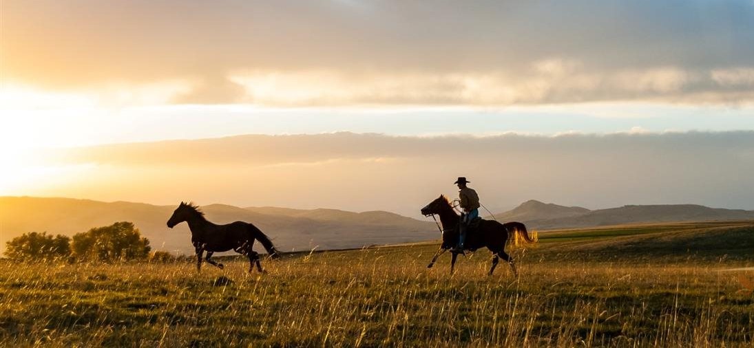 Bozeman Horse Properties